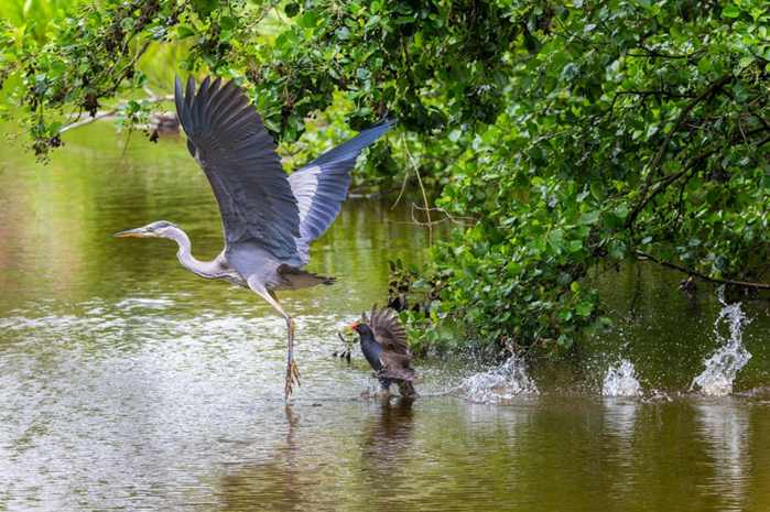 Disponível na Apple Store